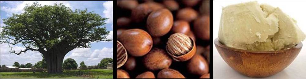 noix-beurre-karite-bio-agoji-david-hervy-neil-leo (16)